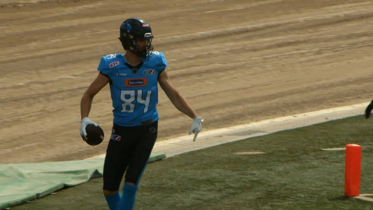 Rewanżowy Pojedynek Gigantów: Prague Lions kontra Panthers Wrocław – Gdzie Oglądać na Żywo i Online!