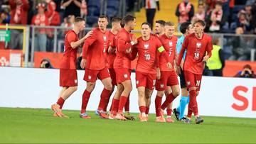 Oto stawka meczu z Litwą. Musimy spoglądać na Amsterdam (SCENARIUSZE)